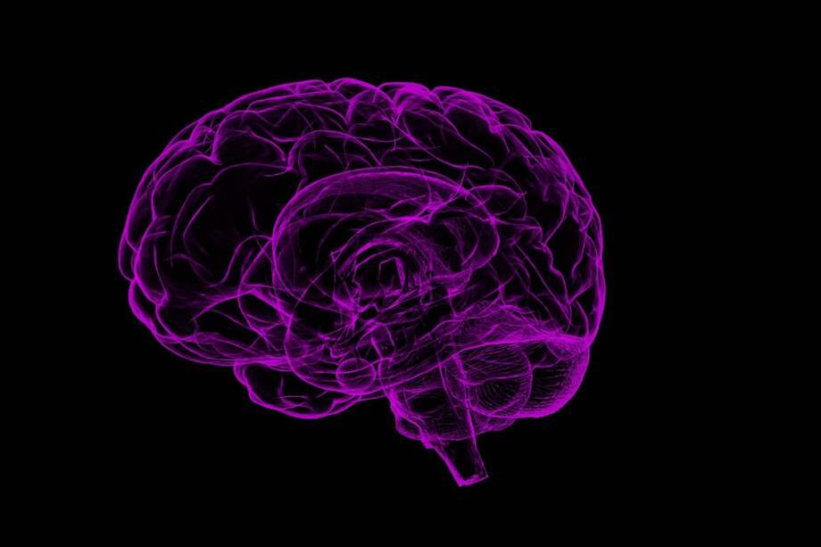 Se han detectado más de cuarenta áreas del cerebro que se activan cuando las personas están en situación de desconocimiento e incertidumbre, / Pixabay