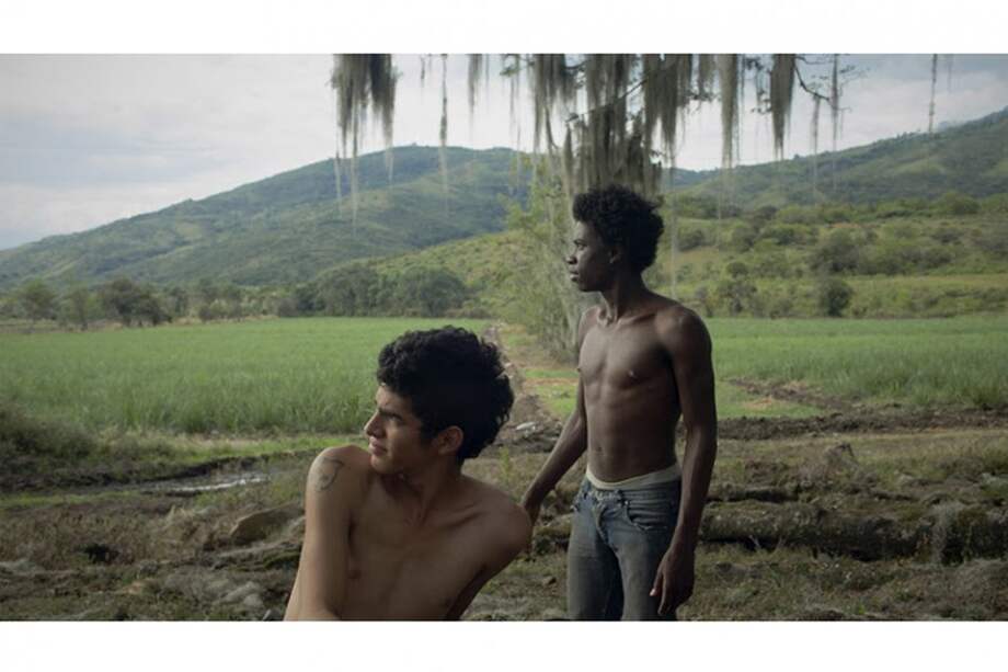 Imagen de "Los Hongos", película de Óscar Ruiz Navia. / Cortesía