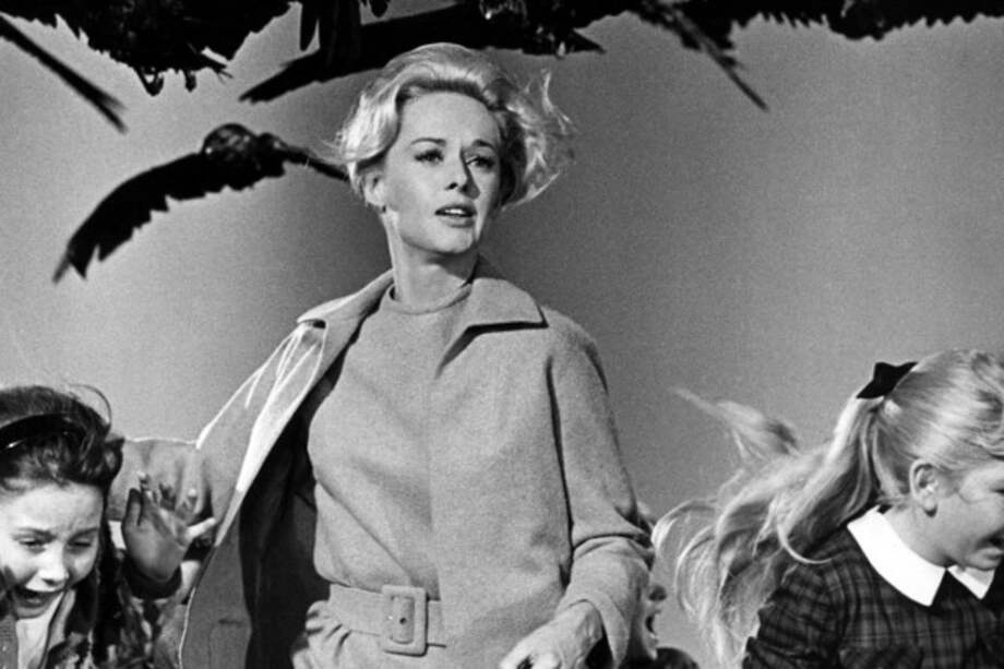 Fotograma de la película "Los pájaros" de Alfred Hitchcock.