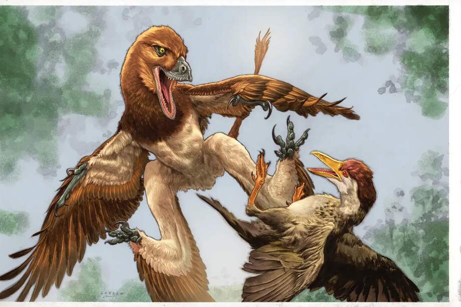 Ilustración del dinosaurio recién descubierto, Jian changmaensis (izquierda), atacando al ave primitiva Gansus yumenensis (derecha) en lo que hoy es la cuenca de Changma, en el noroeste de China.