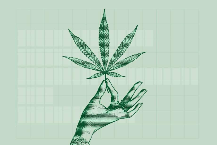 Las claves de la política de drogas de la era Duque, según Elementa DD.HH.