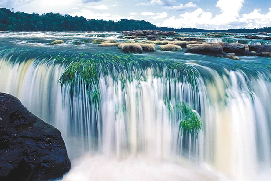 En el Jirijirimo la temperatura oscila entre los 25 y los 30 grados centígrados. /Flickr: Juan Anzola