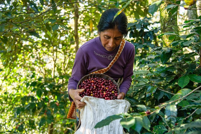 La desigualdad persiste para las mujeres campesinas en Colombia: Defensoría
