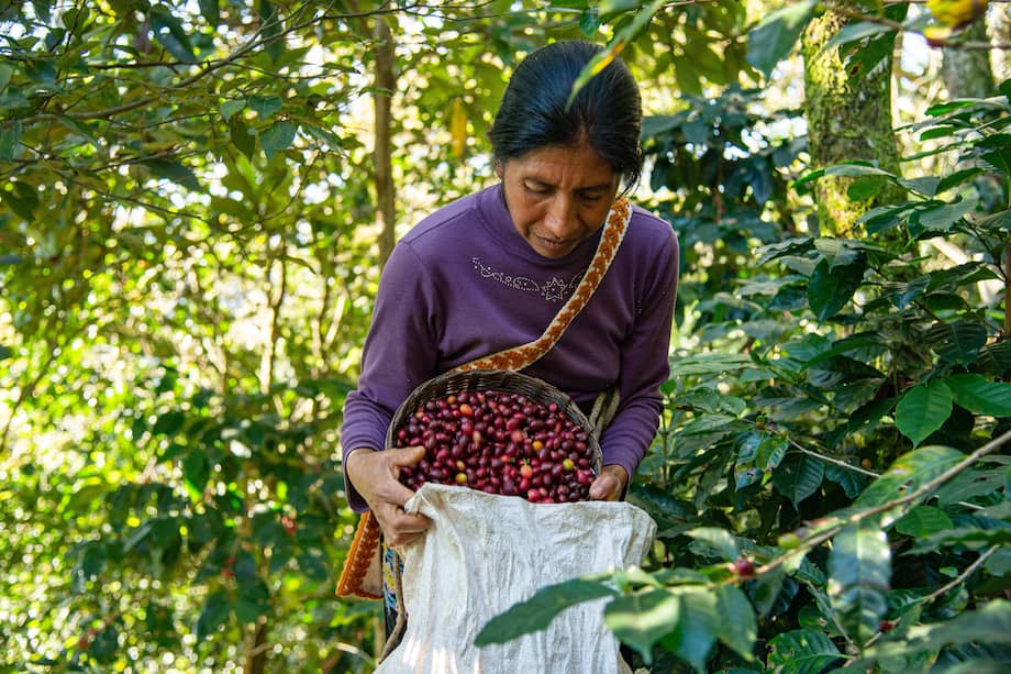 Una de cada cuatro mujeres campesinas vive en condiciones de pobreza multidimensional.