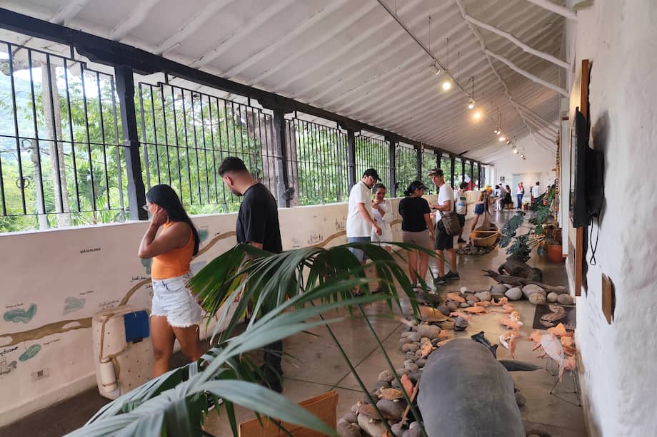 El Museo del río Magdalena da cuenta de la historia de uno de los afluentes más importantes del país.