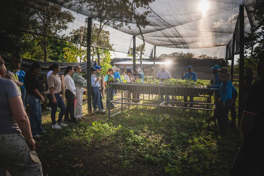 El Gobierno de Gustavo Petro, en 2022, llegó con la promesa de convertir al corredor minero en el “piloto de la transición energética”, con el objetivo de recuperar actividades económicas que no estuvieran vinculadas a la minería. /Cortesía Consorcio Alma-Natura.