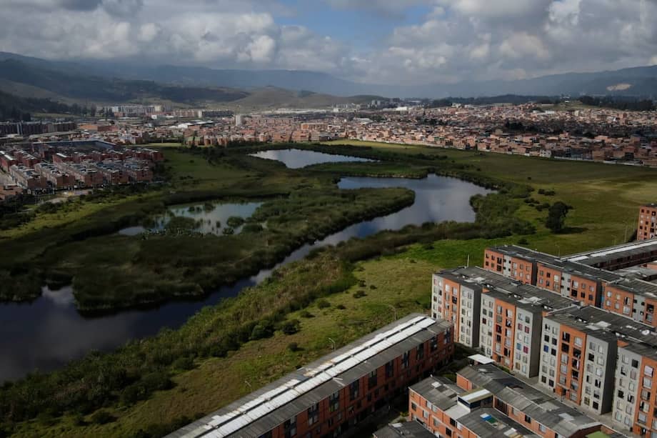 Intervención en Neuta, Tierra Blanca y Santa Ana ya suma más de 72 hectáreas restauradas con inversión cercana a $5.948 millones.