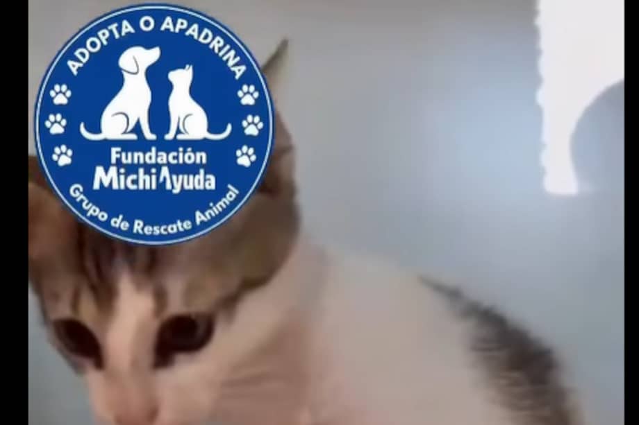 Samuelito