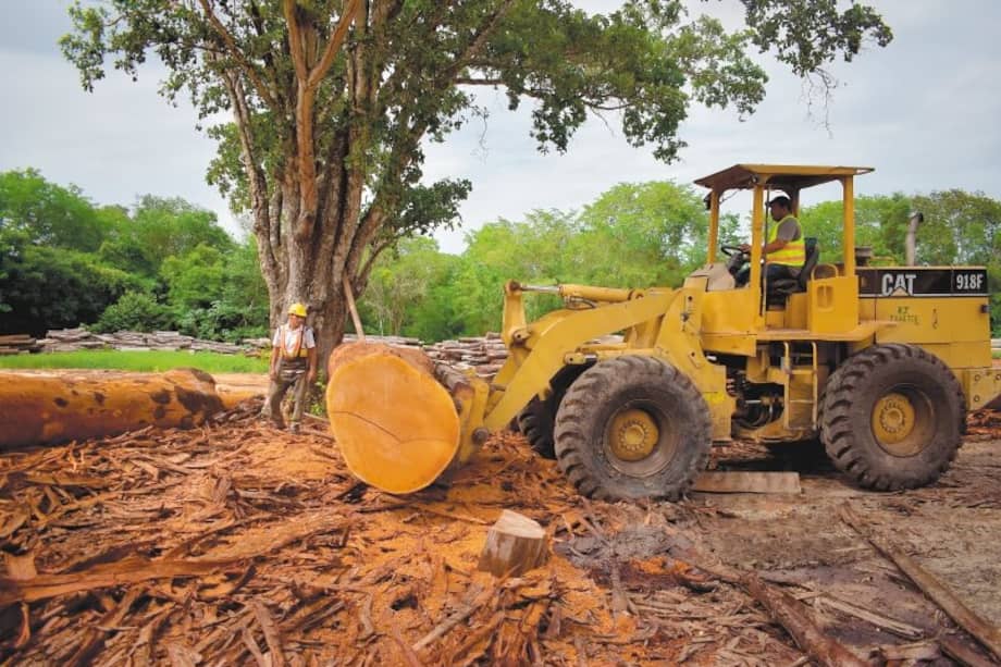 Campesinos de Guatemala tienen la clave para frenar la deforestación en la Amazonia