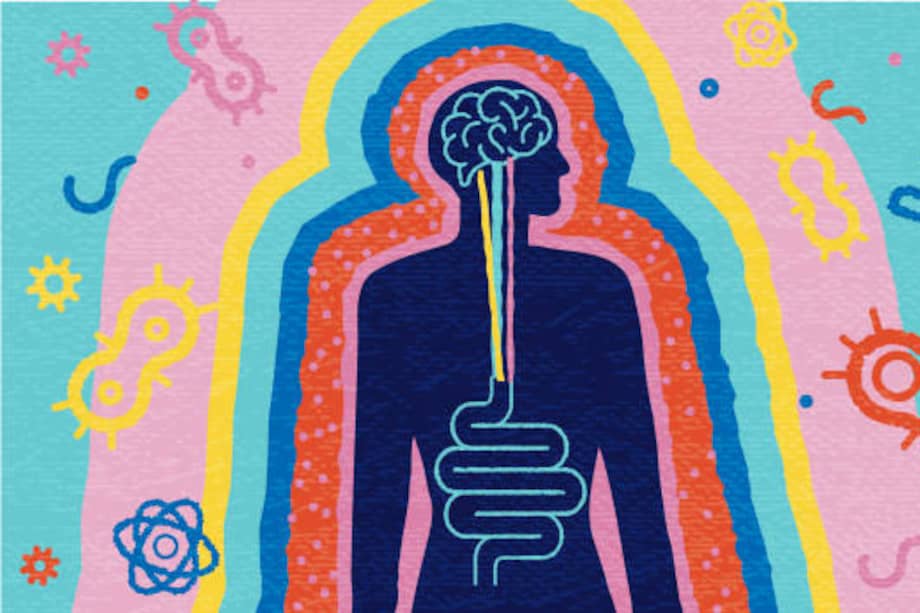 En el intestino habita una comunidad especialmente abundante y diversa. Algunas estimaciones hablan de alrededor de 100 billones de microorganismos que mantienen una estrecha relación con nuestro organismo.
