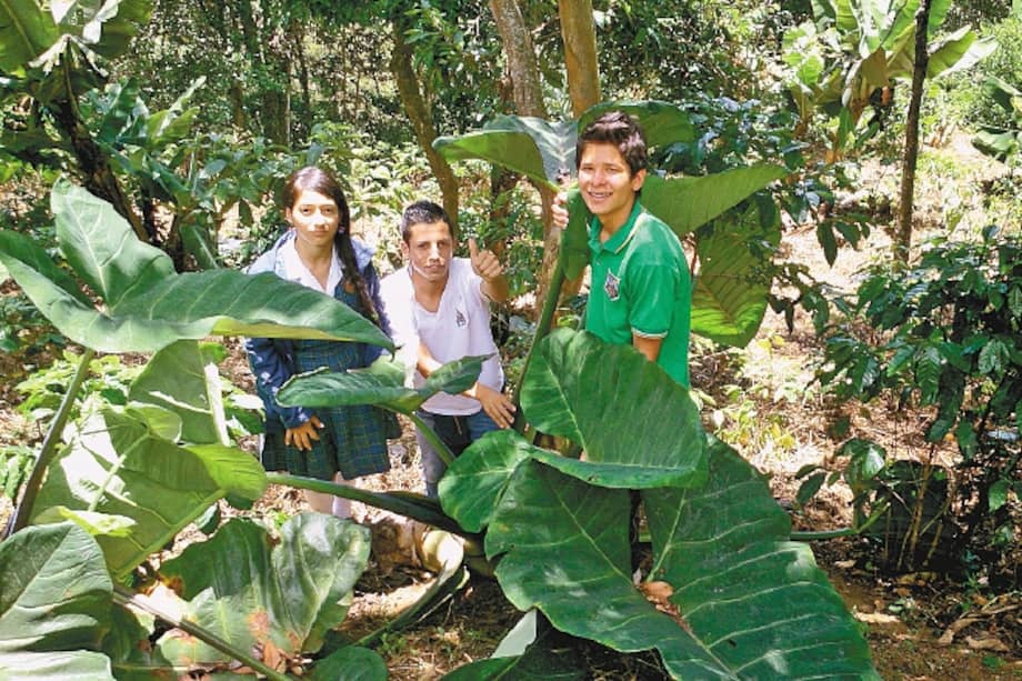 Elkin junto a sus dos compañeros con los que inició el proyecto en el colegio. / Cortesía