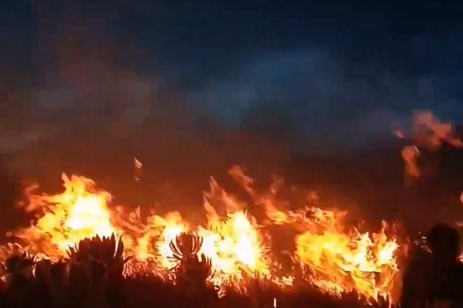 Las llamas estarían alcanzando hasta los cinco metros de altura.