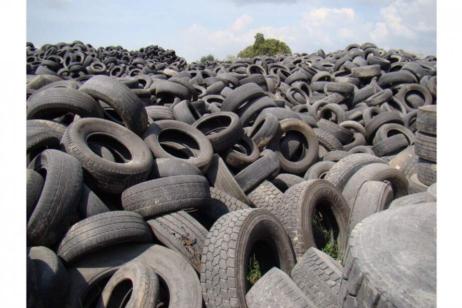 Secretaría de Ambiente de Bogotá / Secretaría de Ambiente de Bogotá