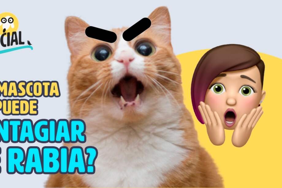 ¿Cómo evitar que a mi mascota le dé rabia? Es fácil.