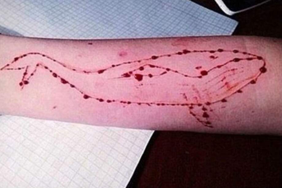 Más de 3.000 casos de ingreso al juego de la "ballena azul" se reportaron en el país. / Archivo