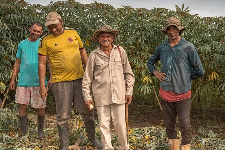 En juego está si los conflictos que determinan derechos como la propiedad, el acceso a predios rurales o la permanencia en el territorio, deben seguir pasando por jueces o quedar en manos de autoridades administrativas.