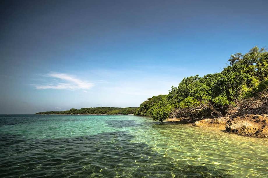 La isla de Barú, en Bolívar, posee algunos de los bosques de manglar más biodiversos del país. / Ecoral.com