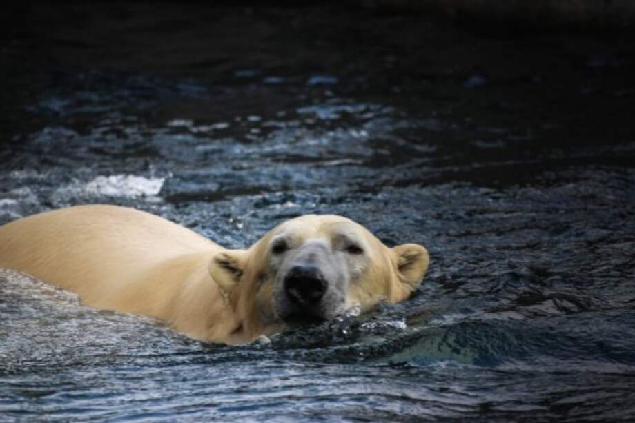 Susanne Nilsson - Flirck