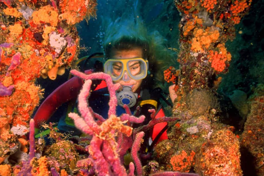 El área del Parque Arikok es de 32 km cuadrados. / Oficina de Turismo de Aruba