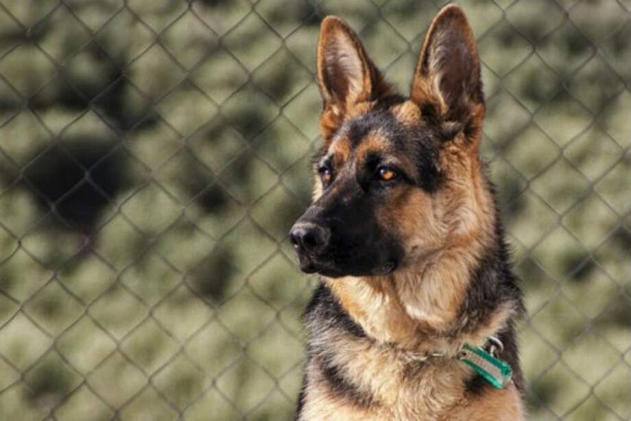 Flickr: Daniel Sebastián Cueto / Licencia Creative Commons