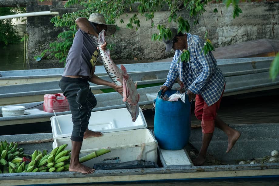 Foto de referencia. / Cortesía