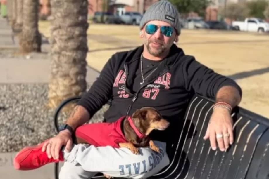 El mensaje, que apareció en su Apple Watch, decía: "Tu perro, Damian, ha sido encontrado".