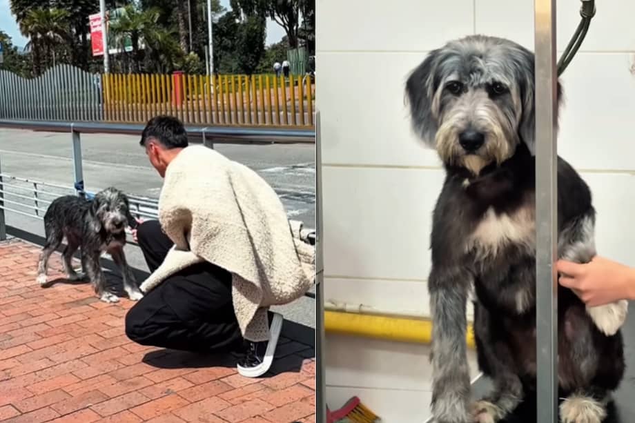 El video del rescate acumula más de 600 mil vistas.
