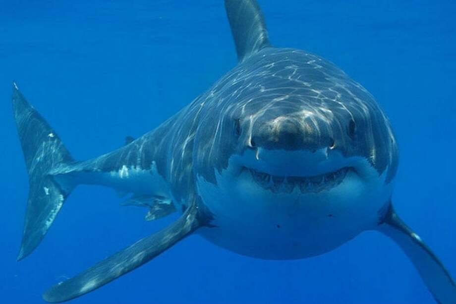 Archivo EFE / Archivo EFE