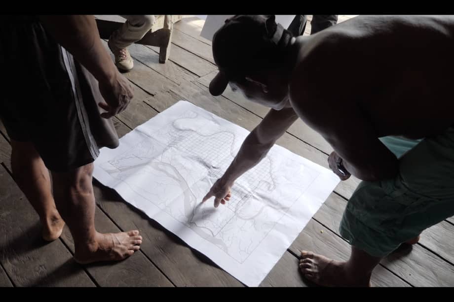 Pobladores de Puerto Córdoba, a través de registros diarios, reportaron 181 especies, y reunieron datos de los monitoreos del clima, la temperatura y la precipitación.