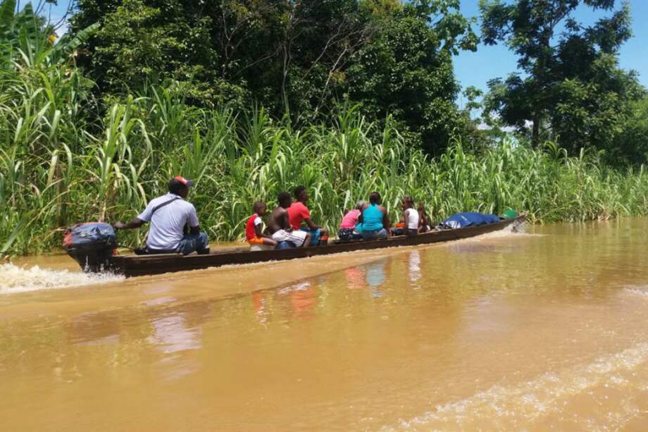 El Jardín Botánico de la ciénaga de Jotaudó está rodeado principalmente por los ríos Atrato, Tagachí, Cabí, Ichó, Tutunendo y Munguidó. / Cortesía Mambe Travel