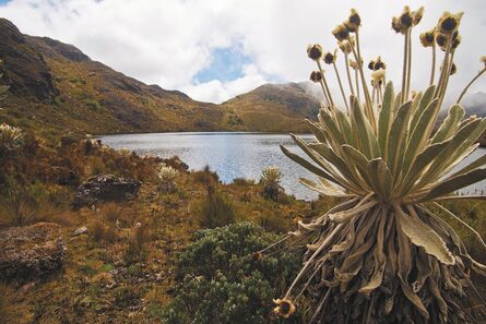 Santurbán es sujeto de derechos: hay aplausos, pero también disgustos