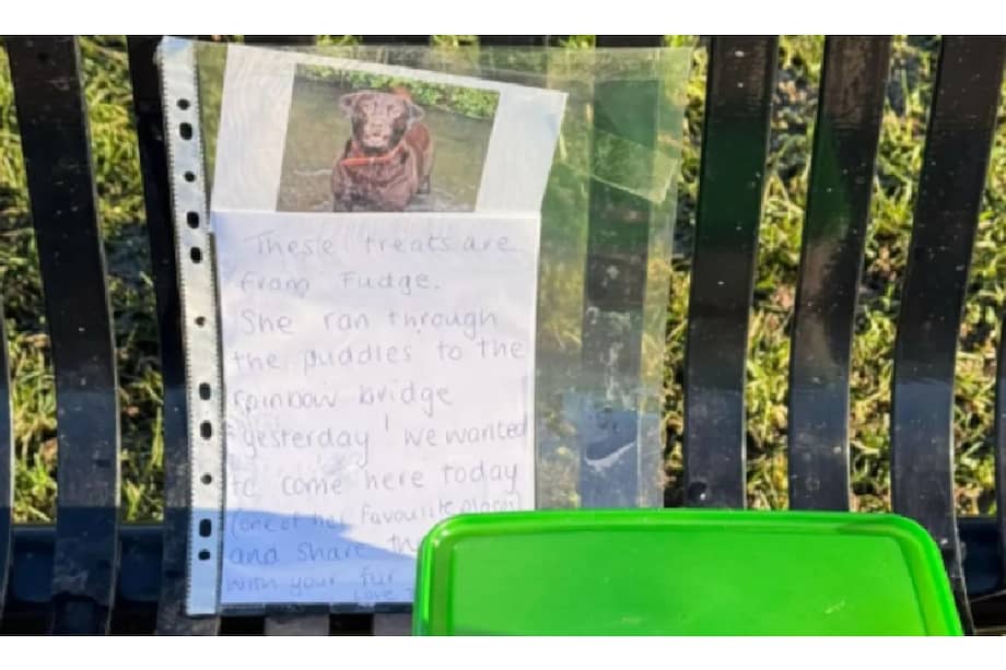 La familia explicaba que el parque había sido el lugar preferido de su mascota y que deseaban mantener viva su memoria.