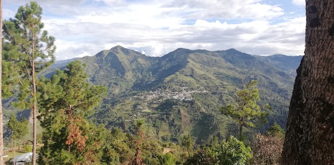 Муниципалитет Инса, где находится библиотека