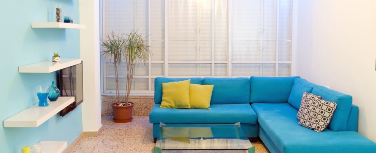 Qué cosas debes eliminar de tu casa antes del 2024, según el Feng Shui