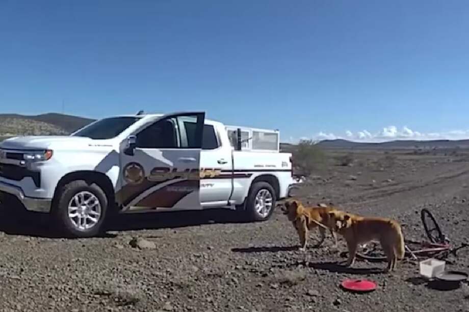 Tras ser liberados, ambos fueron trasladados a una sociedad humanitaria local, donde recibieron atención médica, hidratación, alimento y un espacio seguro.