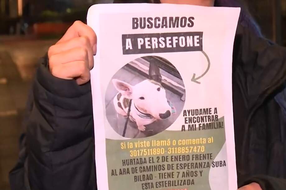 Si ha visto o sabe algo de Perséfone puede comunicarse a los números 3017511890 o 3118857470.