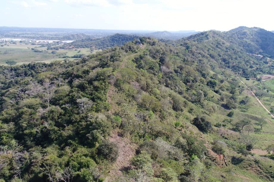 En Colombia contamos con 1.343 áreas protegidas, algunas son públicas y otras privadas.