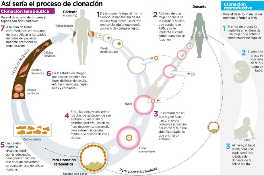 El segundo capítulo de la clonación