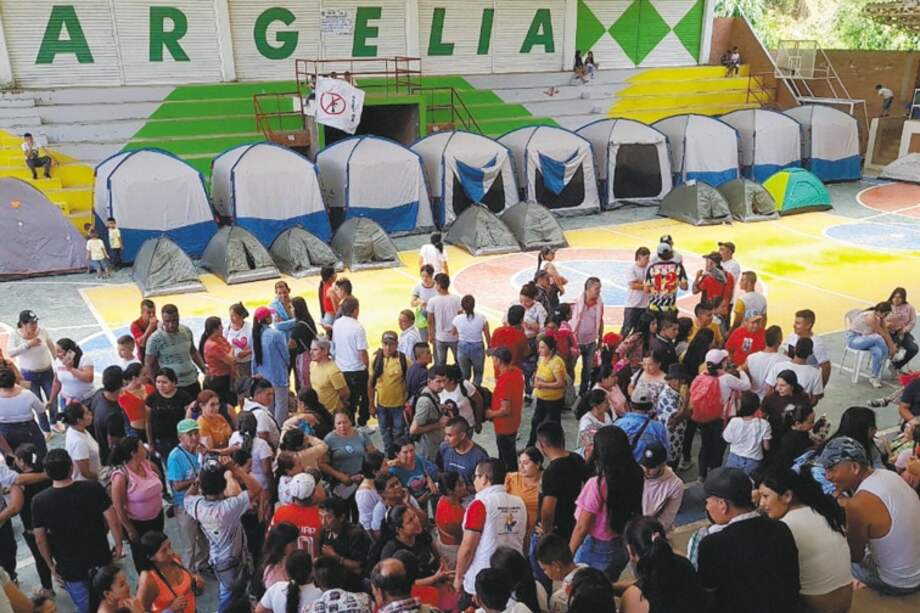 Los Pinos y El Plateado son dos de las zonas rurales más afectadas por las operaciones del EMC. / @JUANMATOER