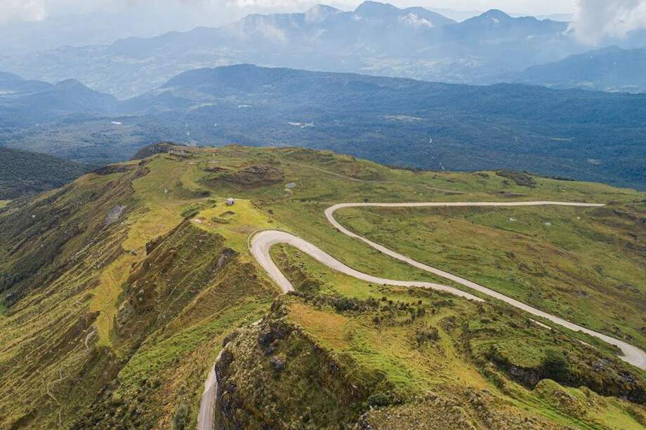 Recuperación de los ecosistemas.