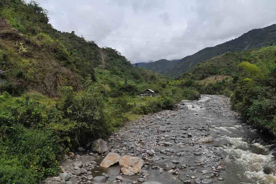 La idea es que el 7 de agosto, cuando empieza el nuevo Gobierno, éste tenga un diagnóstico de los temas a priorizar frente al recurso hídrico en el país.
/ Daniel Gómez.