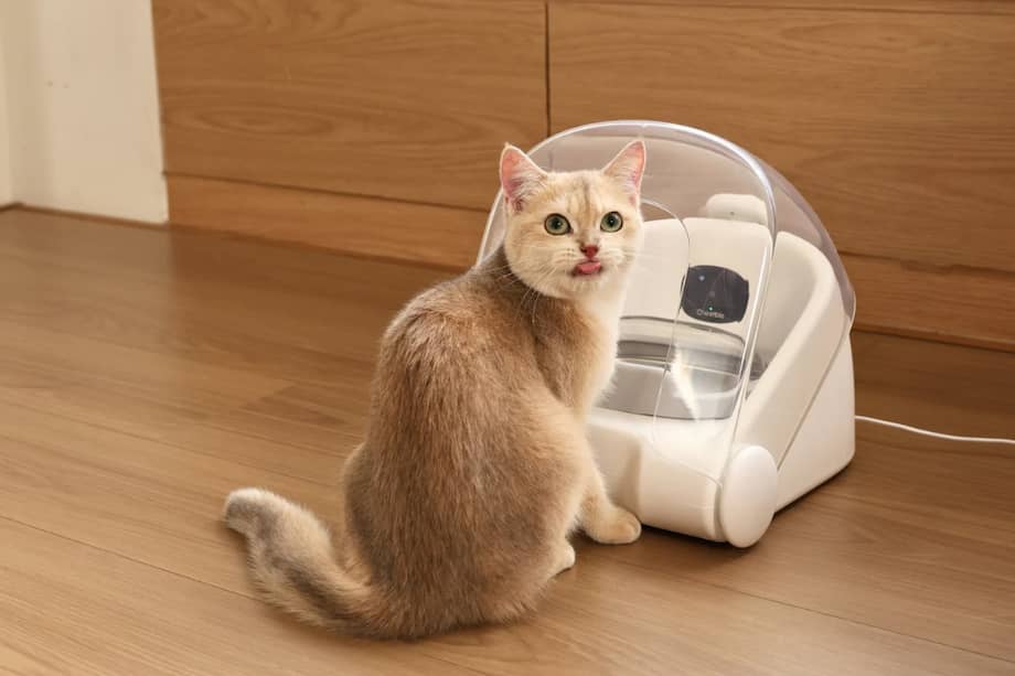 El desarrollo combina inteligencia artificial, procesamiento local de datos y un diseño pensado en el bienestar animal.