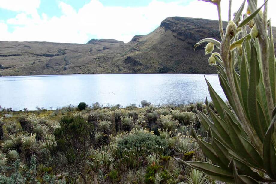 El páramo de Sumapaz es el más grande del mundo y surte de agua a ciudades como Bogotá y parte de Villavicencio (Meta). / PNN