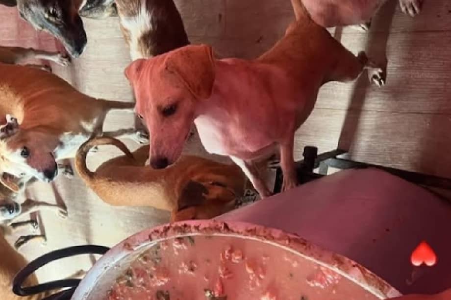 El desgaste por el uso constante provocó daños en la olla utilizada por la fundación para preparar la sopa que complementa la alimentación.
