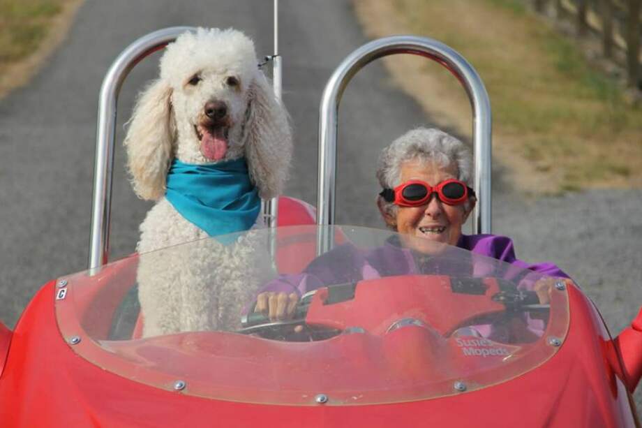 Facebook, Driving Miss Norma.