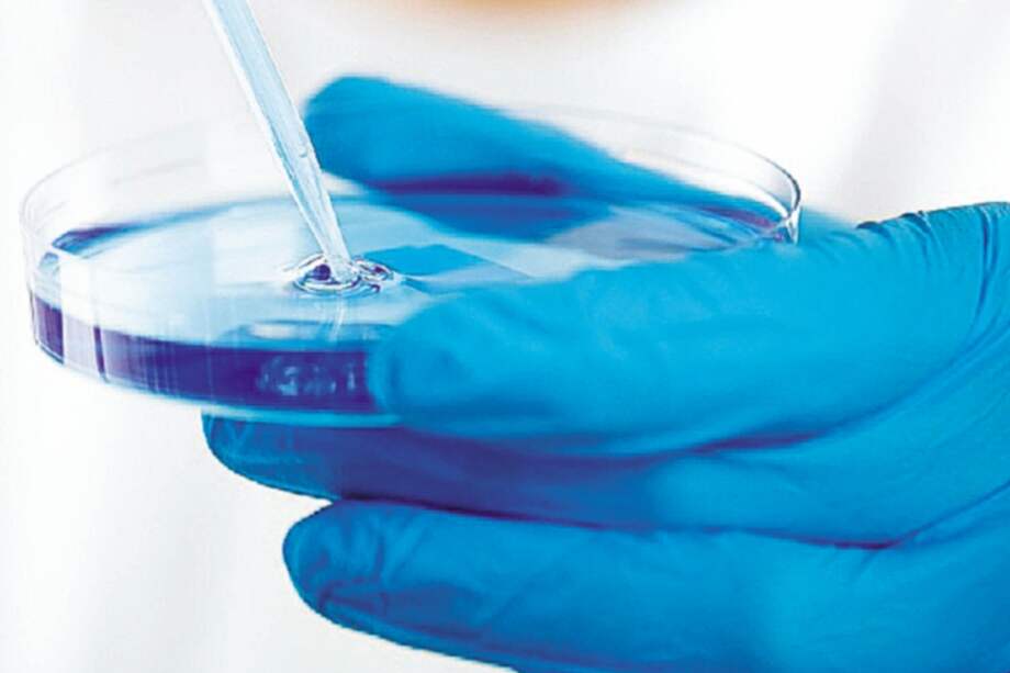 Todo el Senado votó a favor de la creación del Ministerio de Ciencia.