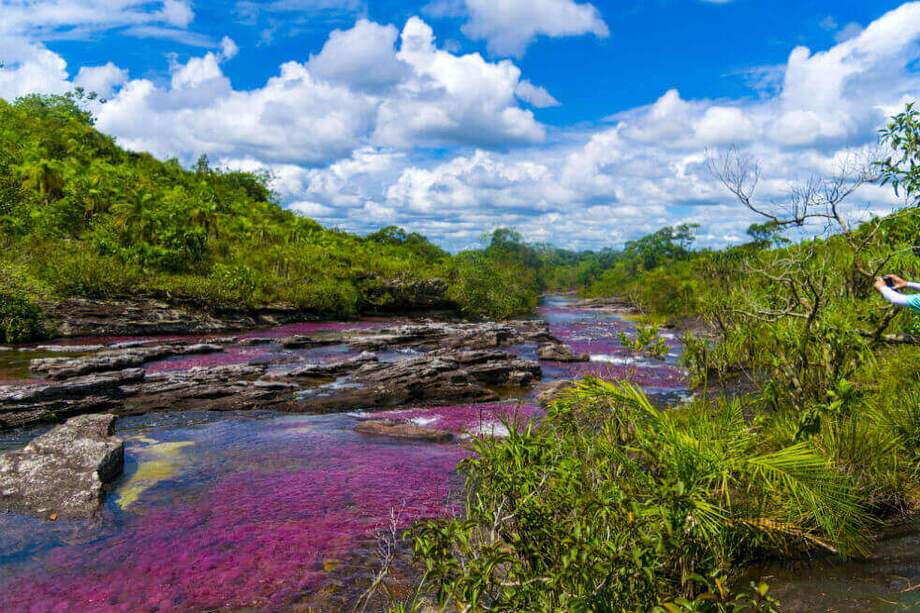 Caño Cristales. / Getty Images