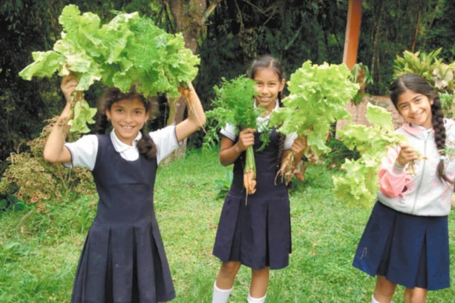 El corregimiento de Bitaco, en Valle del Cauca, realizó capacitaciones y talleres de educación medioambiental durante cuatro años.