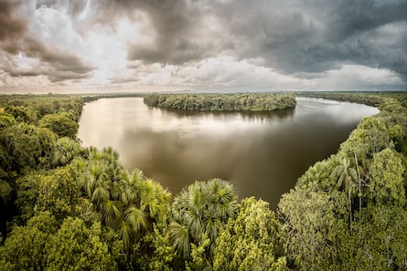 Negocios y biodiversidad: además de la narrativa, ¿qué más debe cambiar?