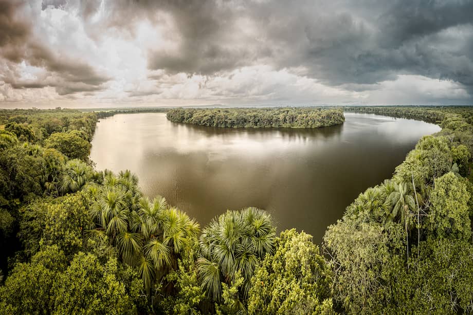 “Biodiversidad es un término que escapó de la ciencia (la diversidad biológica) hacia lo político”: German I. Andrade